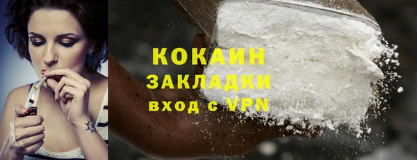 2c-b Горно-Алтайск
