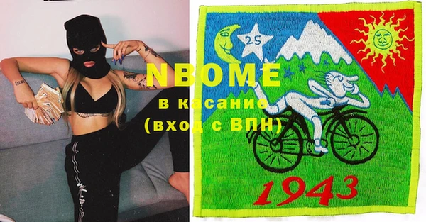 2c-b Горно-Алтайск