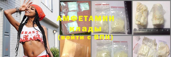 ПСИЛОЦИБИНОВЫЕ ГРИБЫ Горняк