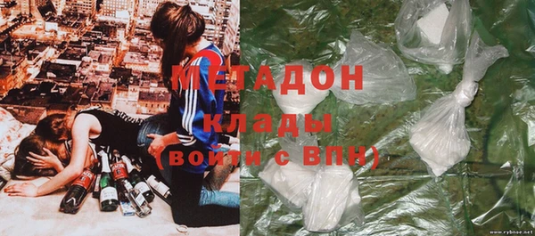 ПСИЛОЦИБИНОВЫЕ ГРИБЫ Горняк