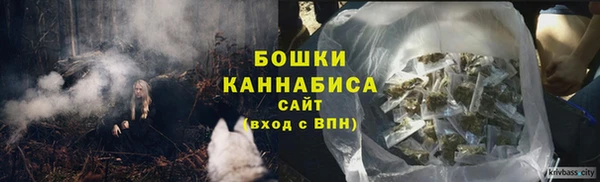 2c-b Горно-Алтайск