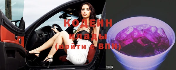 2c-b Горно-Алтайск