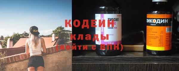 дживик Струнино