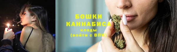 ПСИЛОЦИБИНОВЫЕ ГРИБЫ Горняк