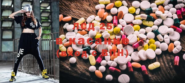 ПСИЛОЦИБИНОВЫЕ ГРИБЫ Горняк