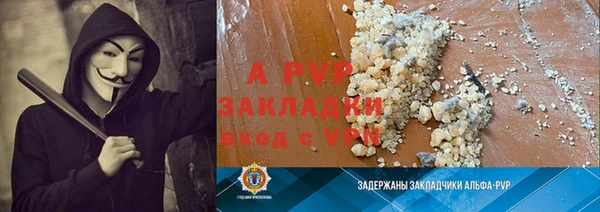 ПСИЛОЦИБИНОВЫЕ ГРИБЫ Горняк