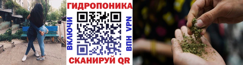 где найти   Павловская  Марихуана план 